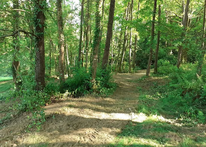 فندق مبيت وإفطار Ezpondakoborda